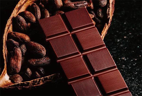 フーワンチョコレートの日本での販売価格は板チョコ1枚2,000円前後(トモエサヴール提供)
